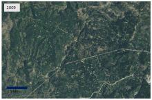 Private land forest conversion for cannabis cultivation in Trinity County, 2009 Private land forest conversion for cannabis cultivation in Trinity County, 2009