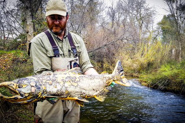 Yolo Bypass And Putah Creek Restoration Projects | Salmonid Restoration ...